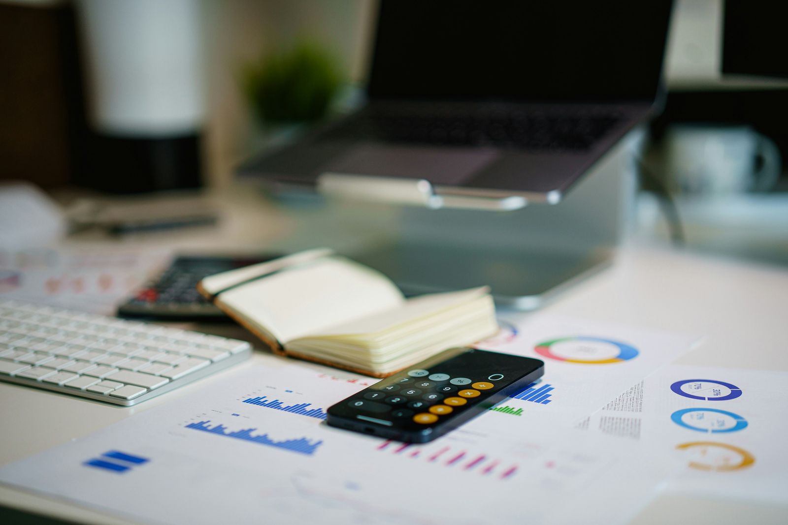 Nexus Ledger accounting dashboard